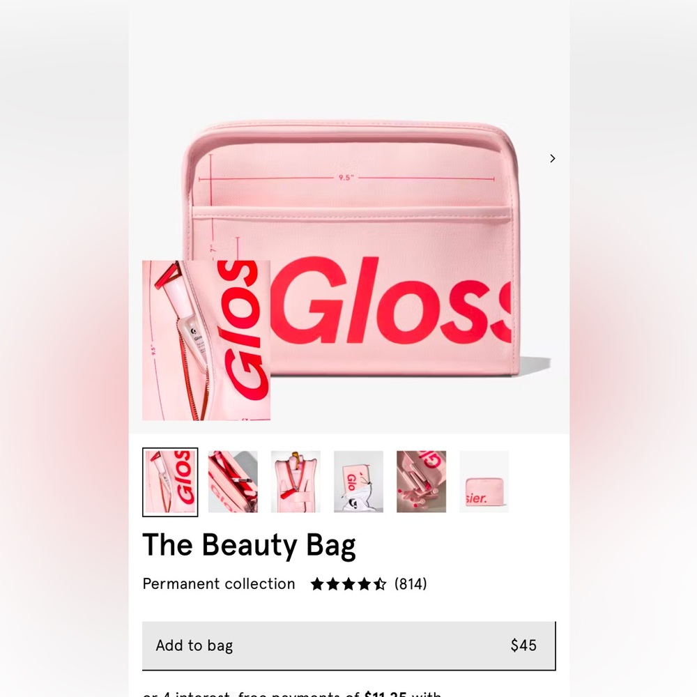 Glossier Makeup Bag